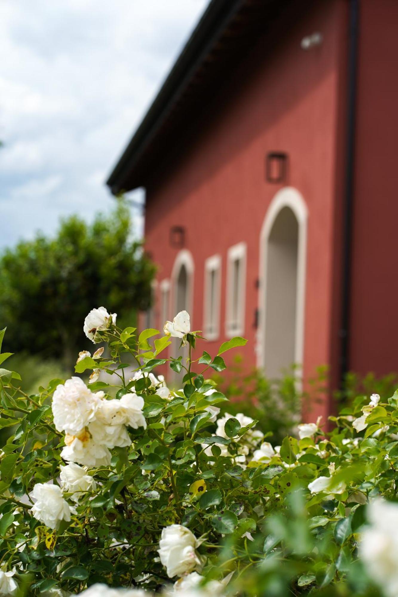 Villa Alle Siepi à Reggio d'Emilie Extérieur photo